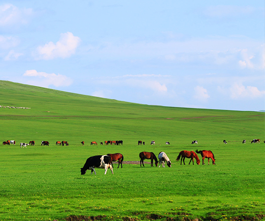 新鄉(xiāng)市方圓粉體設(shè)備制造有限公司